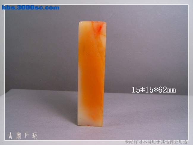 SUC32088.jpg