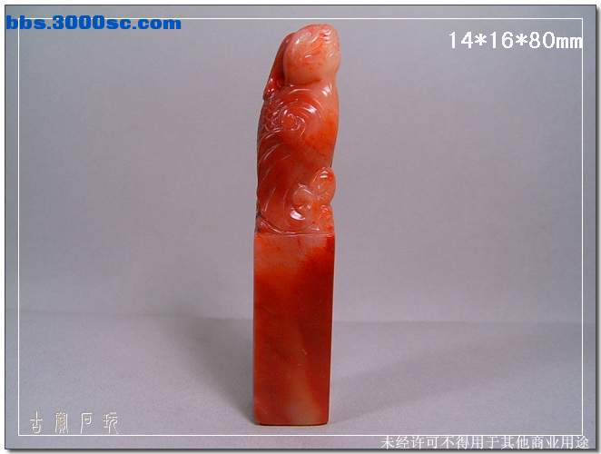 SUC37705.jpg