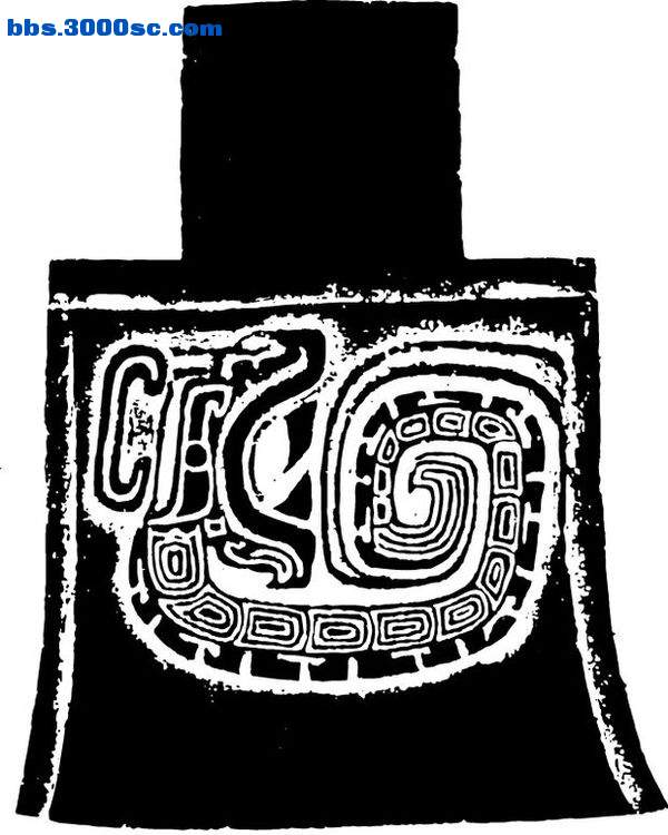 0470021065.jpg