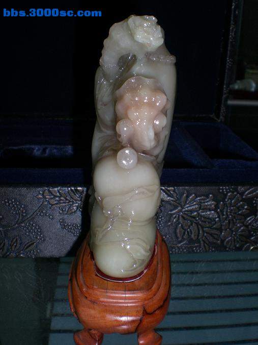 CIMG9178.JPG