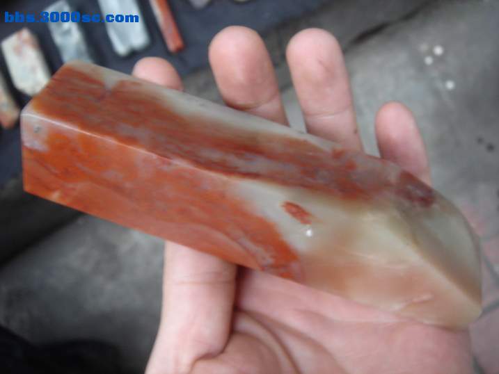 DSC05995_调整大小.JPG