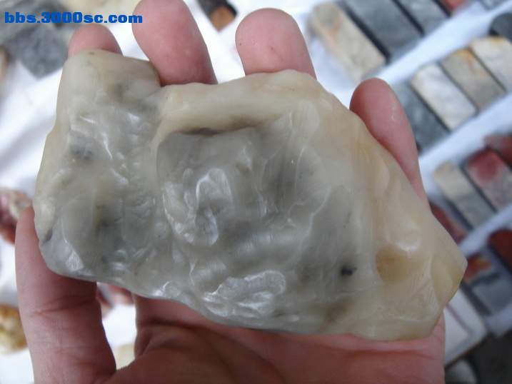 DSC05998_调整大小.JPG