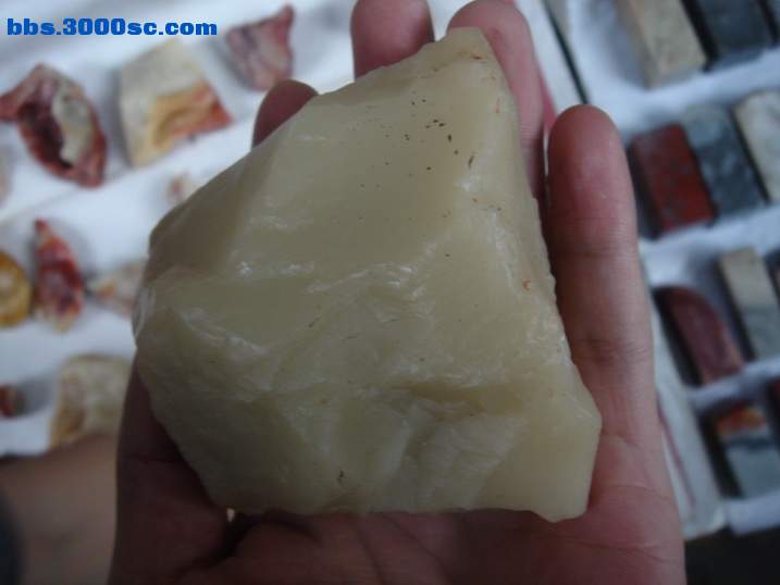 DSC05997_调整大小.JPG