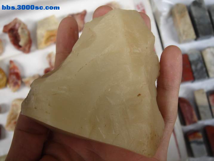 DSC05996_调整大小.JPG