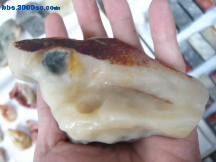 DSC05999_调整大小.JPG