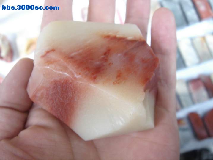 DSC06002_调整大小.JPG