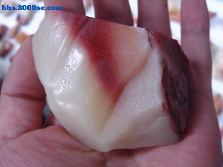 DSC06004_调整大小.JPG