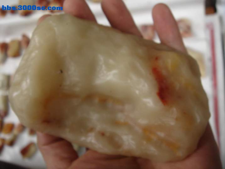 DSC06005_调整大小.JPG