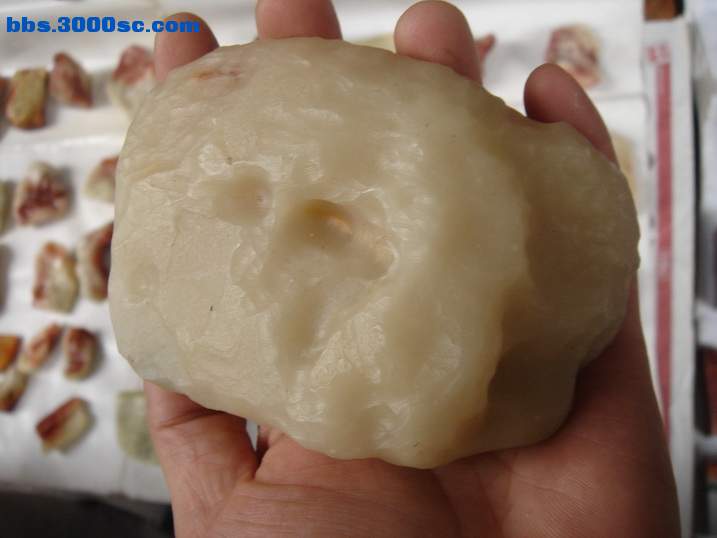 DSC06006_调整大小.JPG