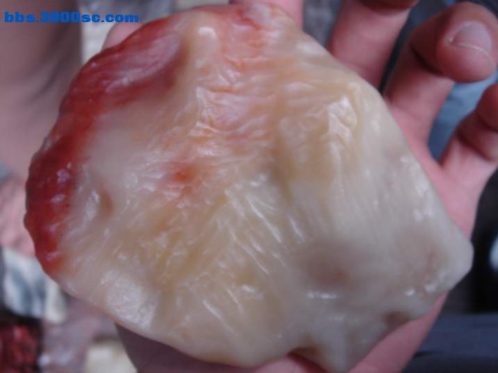 DSC06010_调整大小.JPG