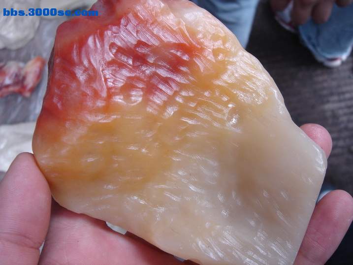 DSC06009_调整大小.JPG