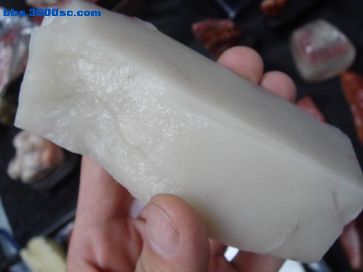 DSC06094_调整大小.JPG
