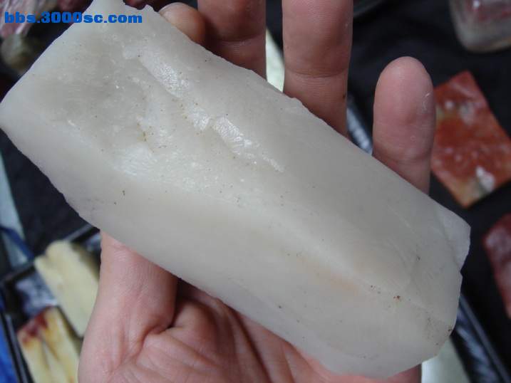 DSC06095_调整大小.JPG