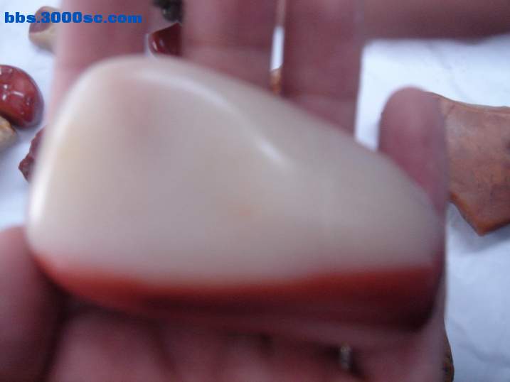 DSC06102_调整大小.JPG