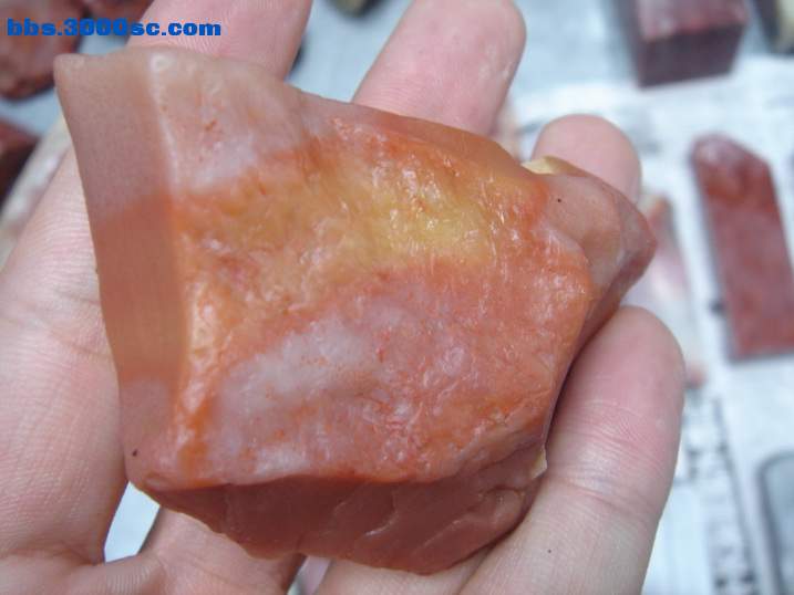 DSC06100_调整大小.JPG