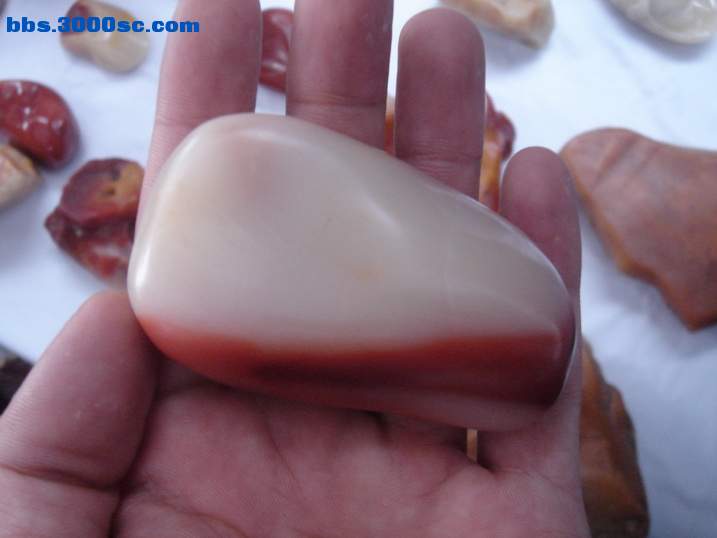 DSC06103_调整大小.JPG