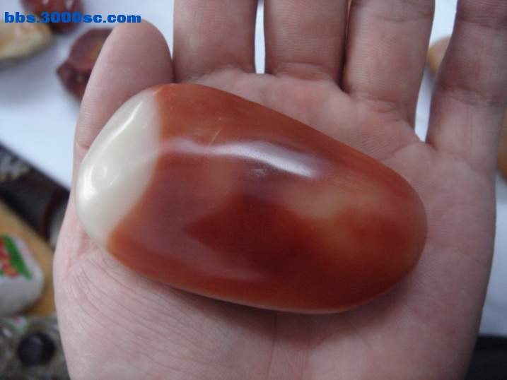 DSC06104_调整大小.JPG