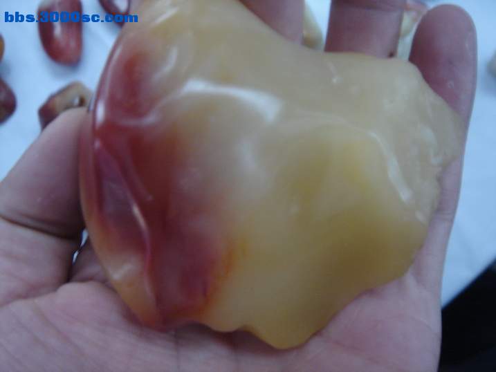 DSC06105_调整大小.JPG