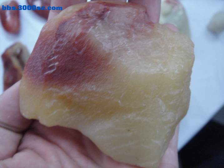 DSC06106_调整大小.JPG