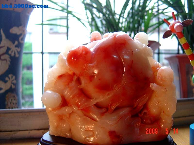 DSC07237.jpg