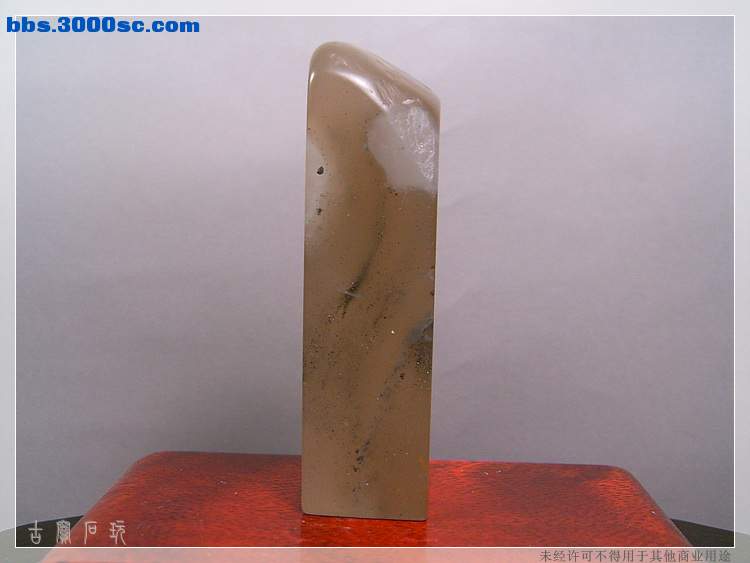 SUC35064.jpg