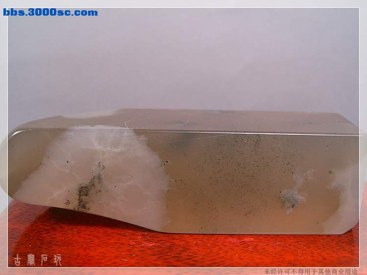 SUC35068.jpg