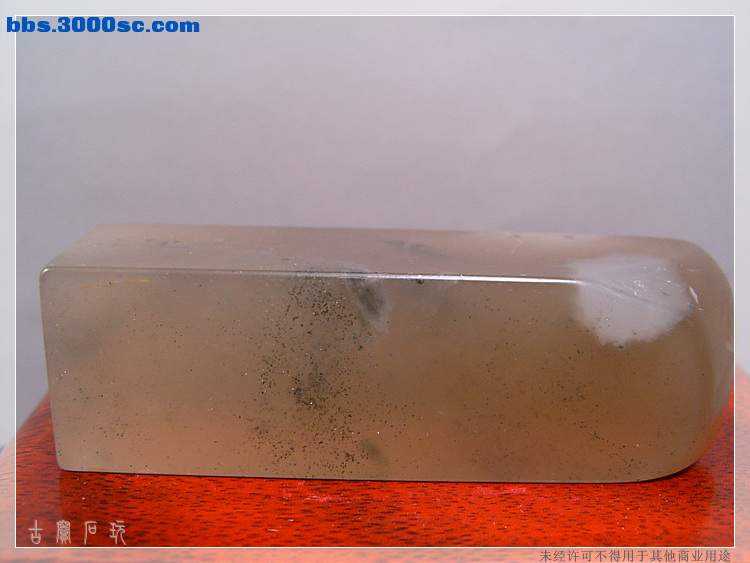 SUC35070.jpg