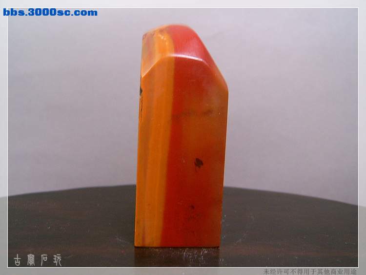 SUC35074.jpg