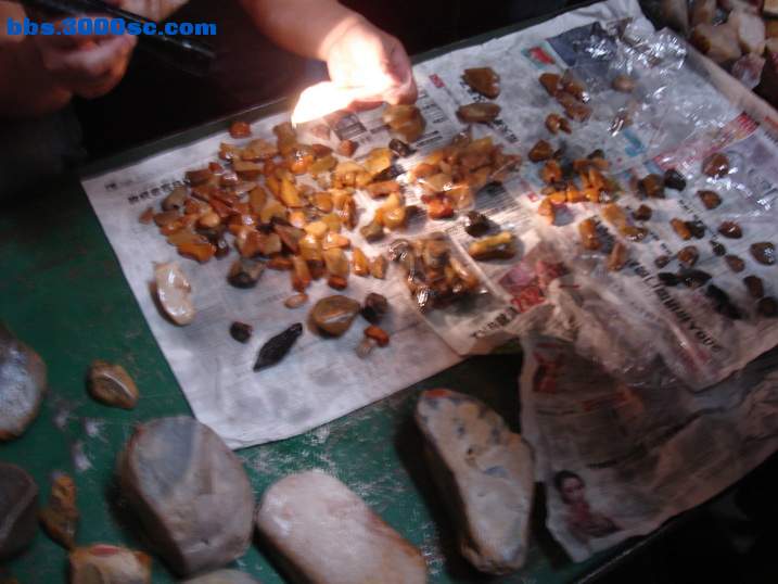 DSC06011_调整大小.JPG