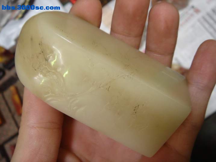 DSC06013_调整大小.JPG