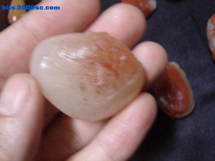 DSC06016_调整大小.JPG