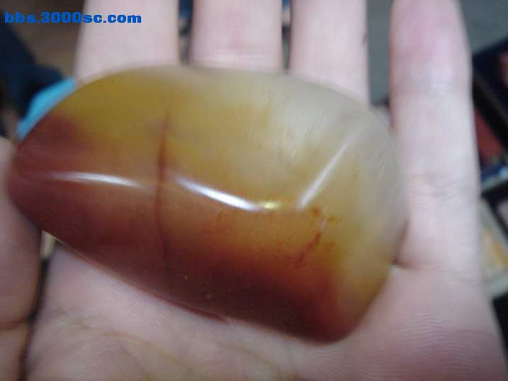 DSC06020_调整大小.JPG