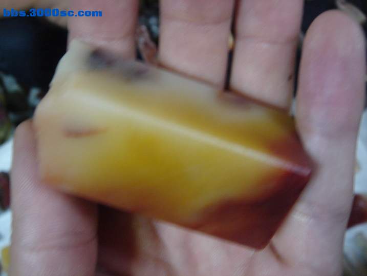 DSC06026_调整大小.JPG