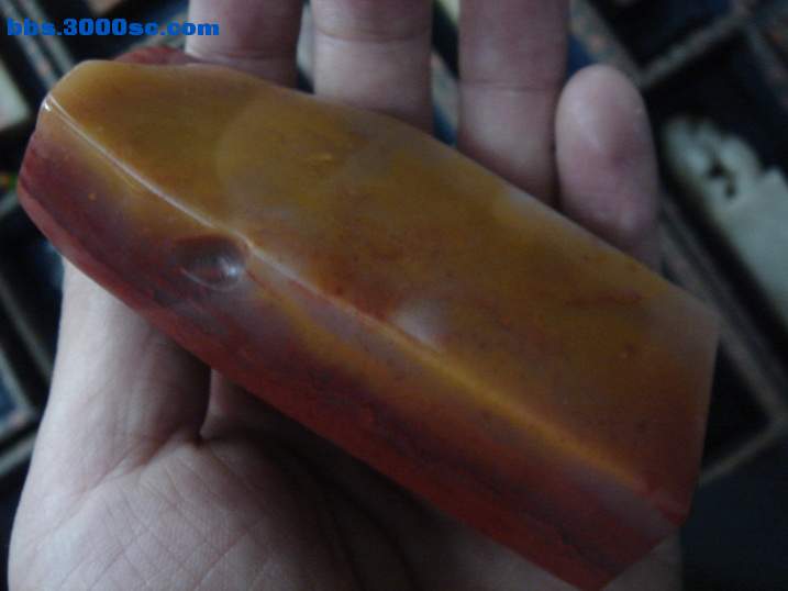 DSC06116_调整大小.JPG