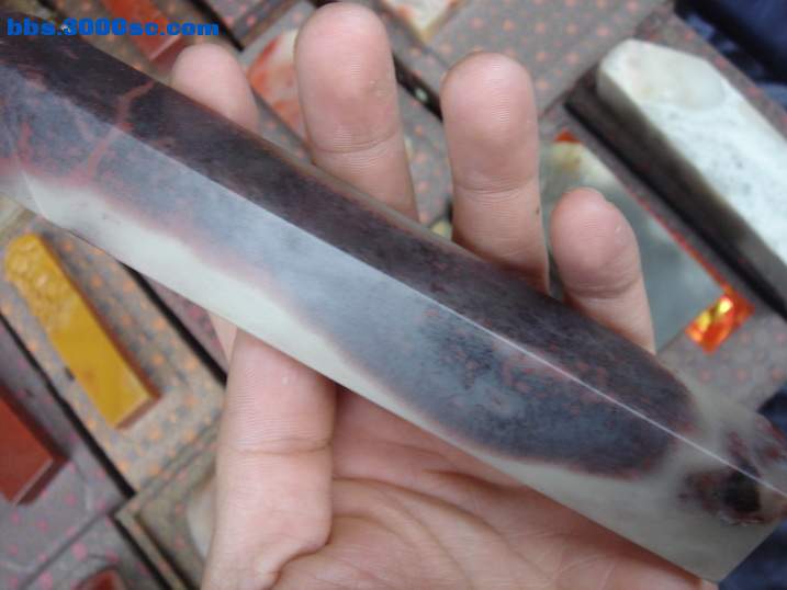 DSC06123_调整大小.JPG