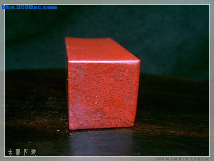 SUC34601.jpg