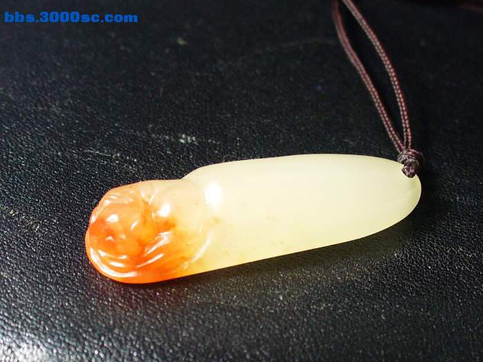 P1230585.JPG