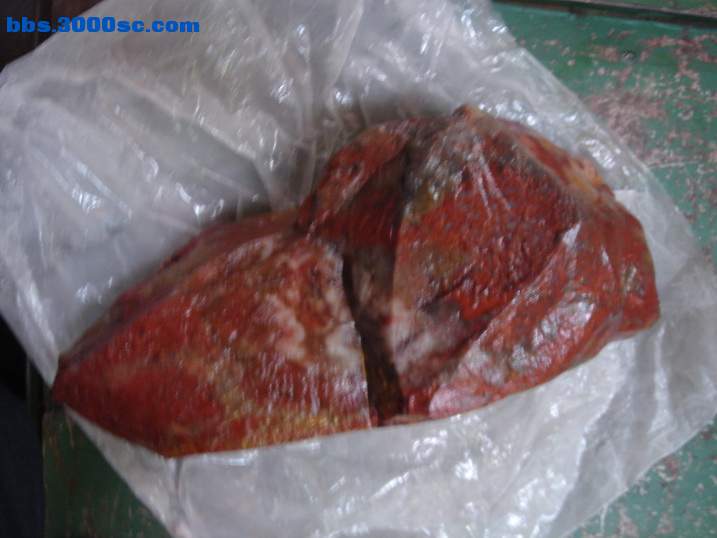 DSC06044_调整大小.JPG