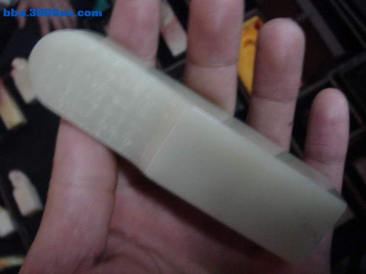 DSC06045_调整大小.JPG