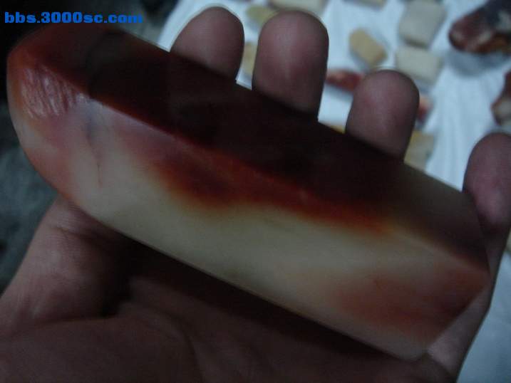 DSC06047_调整大小.JPG