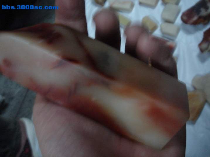 DSC06048_调整大小.JPG