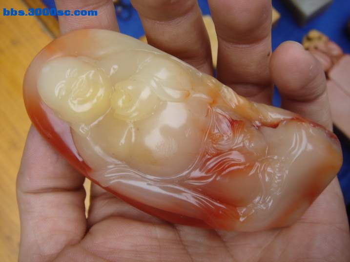 DSC06132_调整大小.JPG