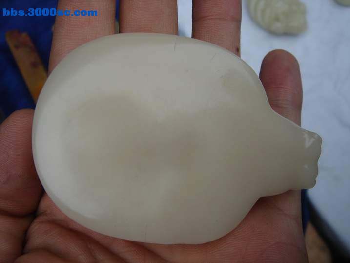 DSC06138_调整大小.JPG
