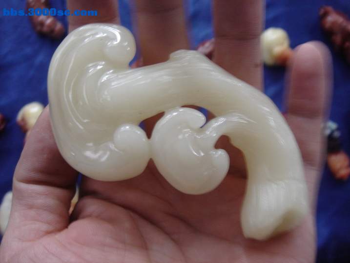 DSC06144_调整大小.JPG