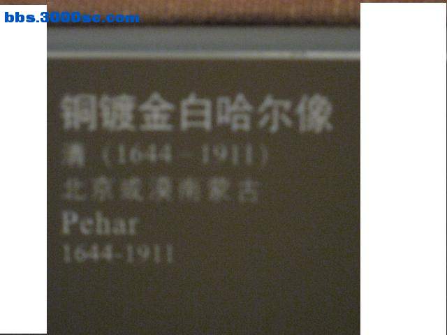 相片 692.JPG