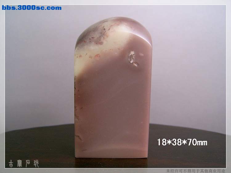 SUC35229.jpg