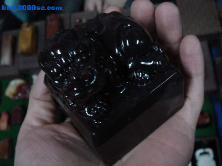 DSC06056_调整大小.JPG