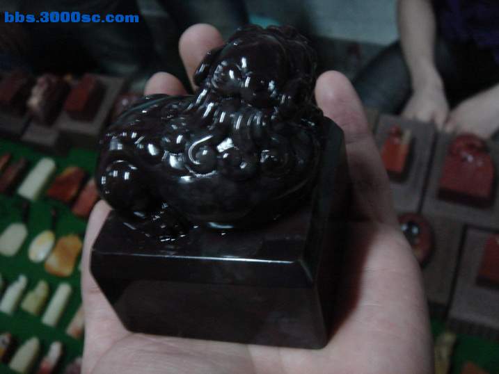 DSC06058_调整大小.JPG