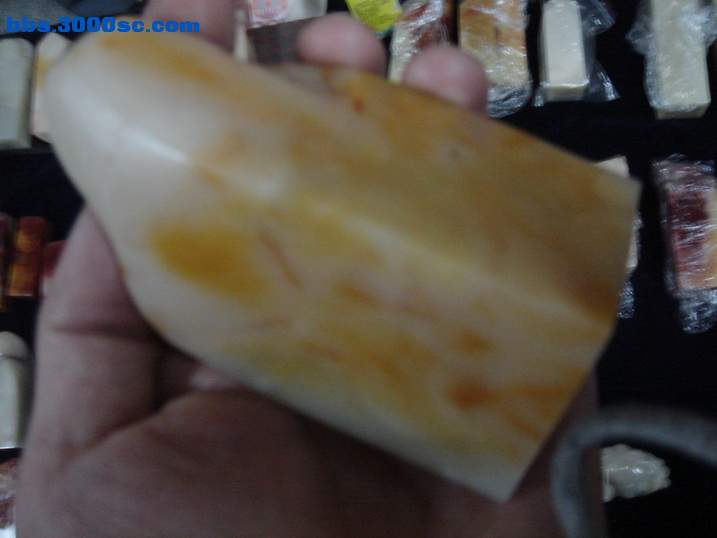 DSC06061_调整大小.JPG