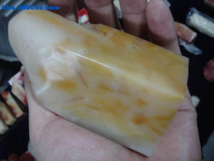 DSC06062_调整大小.JPG